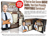 Personal Service Profits